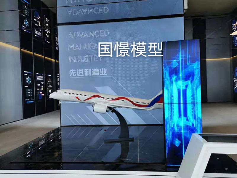 浏阳市飞机模型