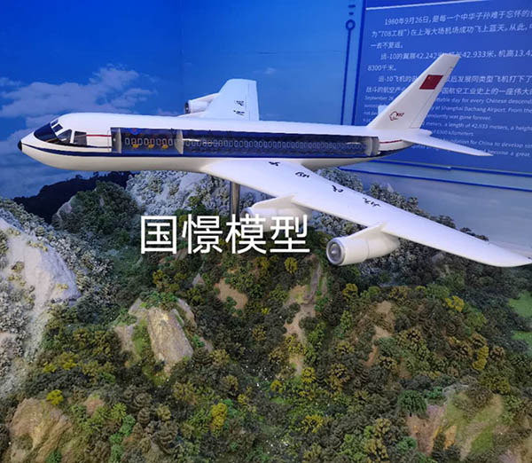 浏阳市飞机模型