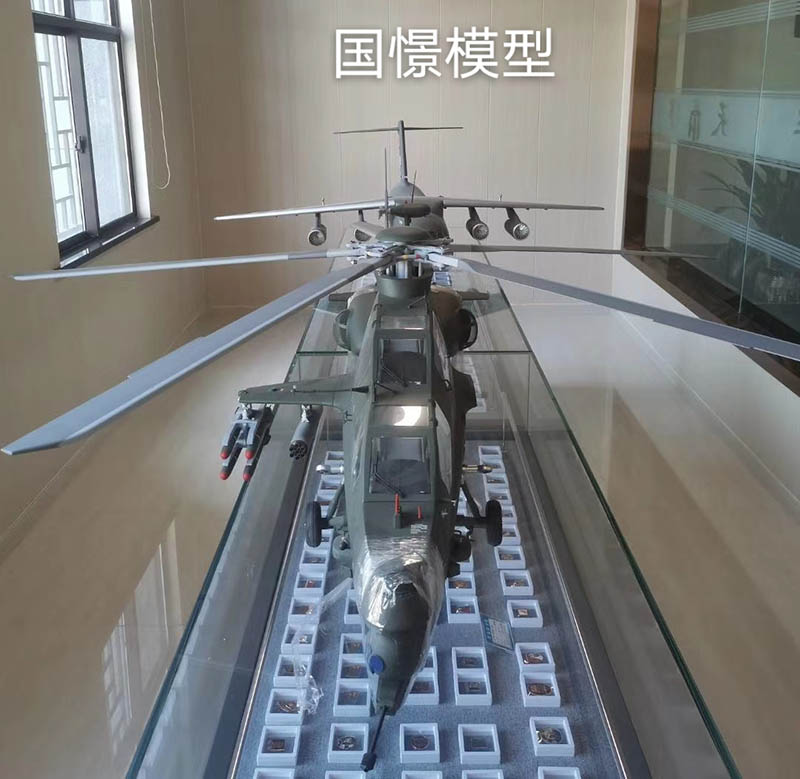 浏阳市飞机模型