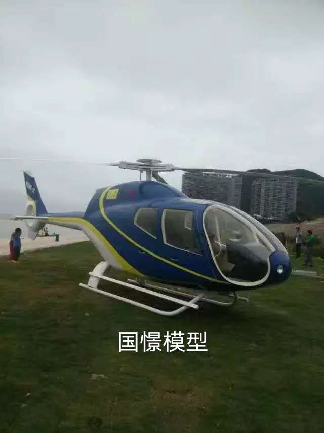 浏阳市飞机模型