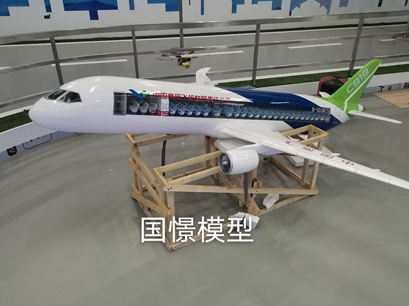 浏阳市飞机模型