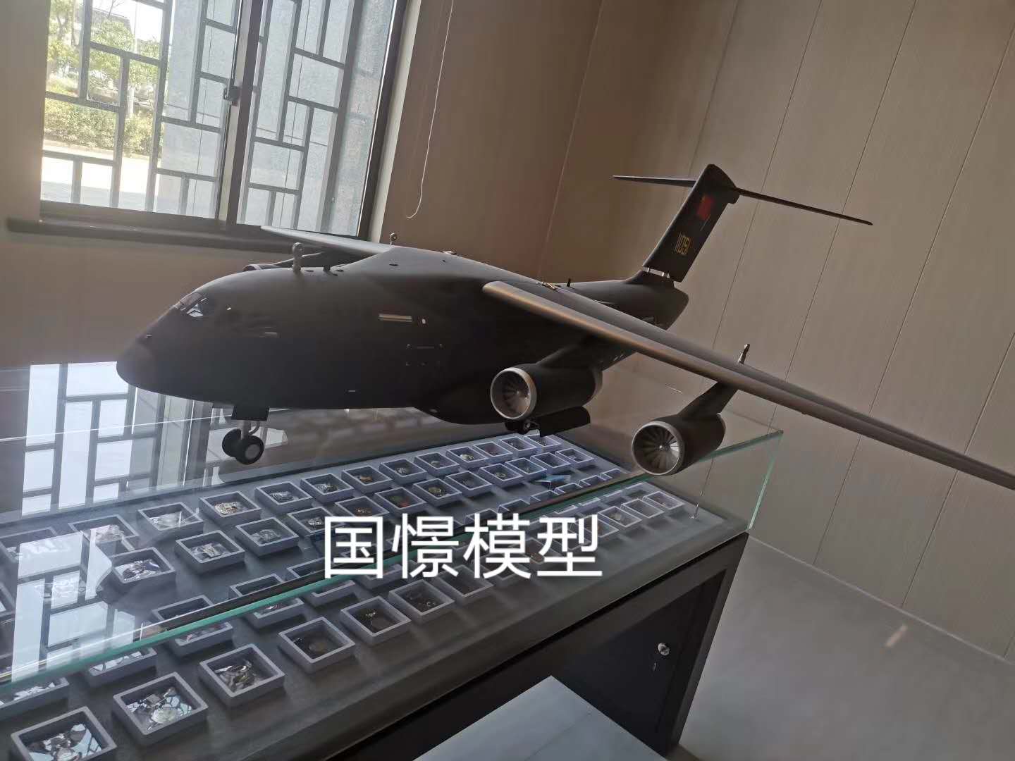 浏阳市飞机模型