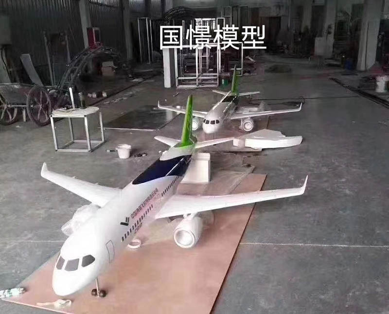 浏阳市飞机模型