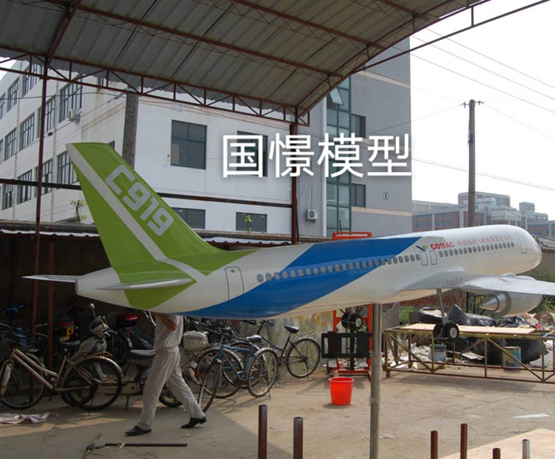 浏阳市飞机模型