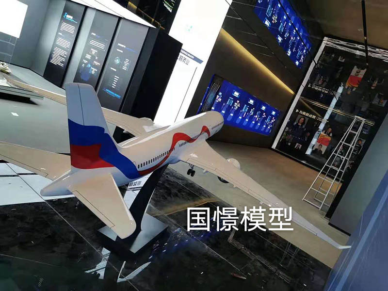 浏阳市飞机模型
