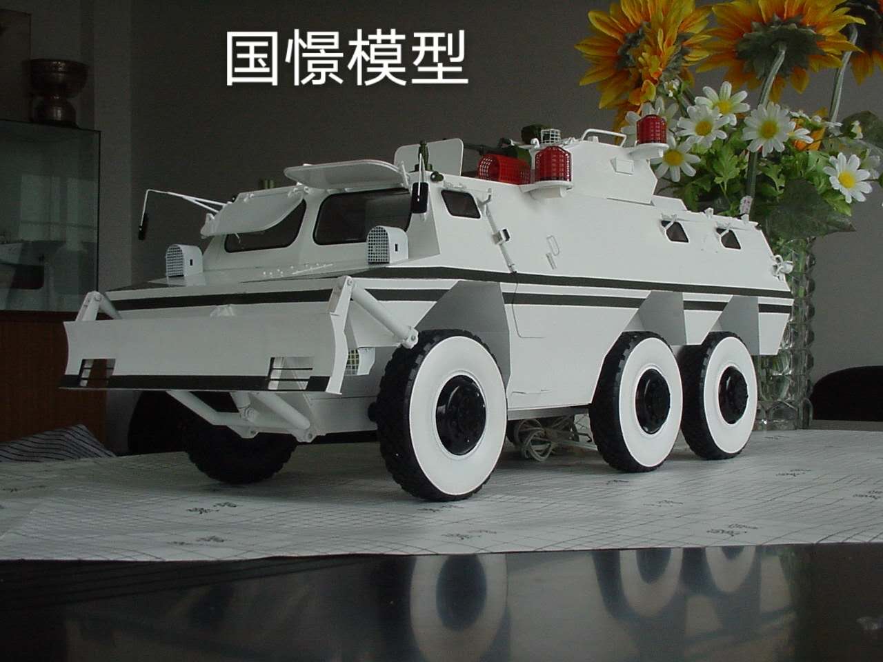 浏阳市军事模型
