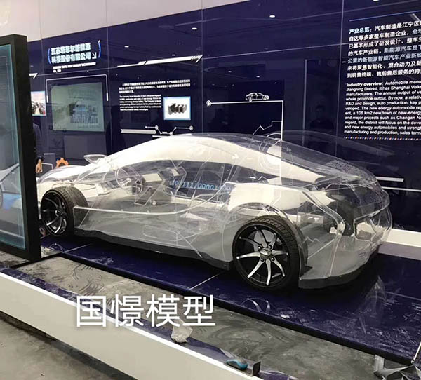 浏阳市透明车模型
